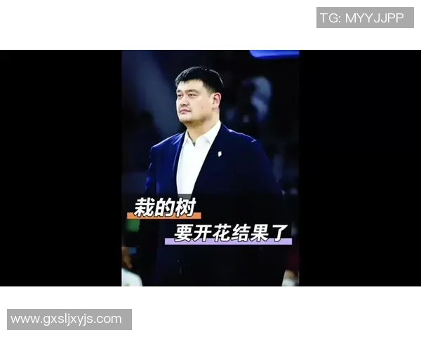 姚明的心声：从篮球巨星到人生导师的成长与反思